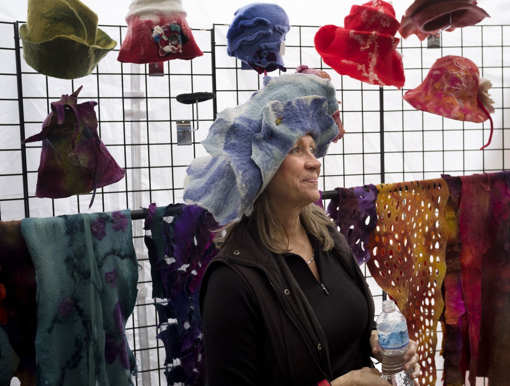 2016 Shaw Art Fair